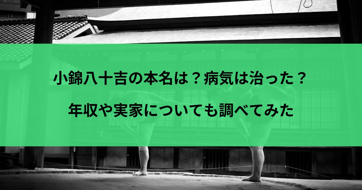 小錦八十吉の本名は？病気は治った？年収や実家についても調べてみた